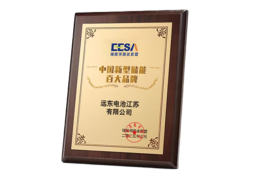 Top 100 Brands of New Energy Storage in China