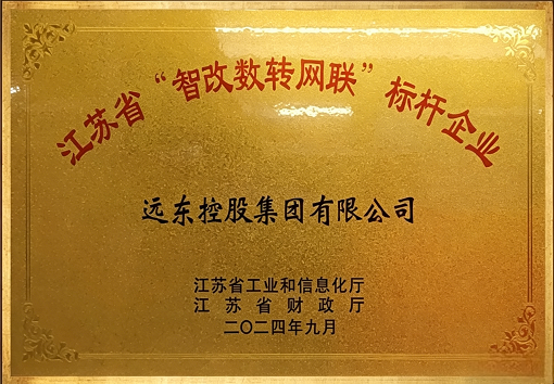 Jiangsu Province Benchmark Enterprise for Intelligent Transformation, Digitalization and Network Con...